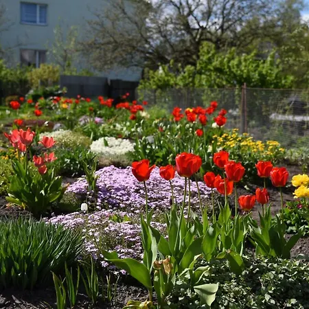 Luha Private House * Pärnu